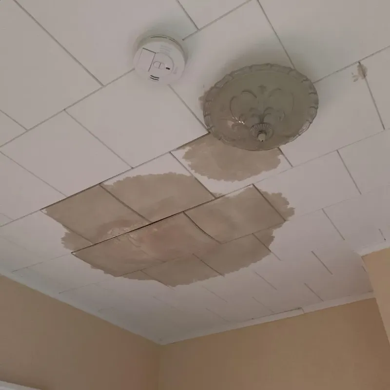 Ceiling Water Damage Repair in Bellows Falls, VT