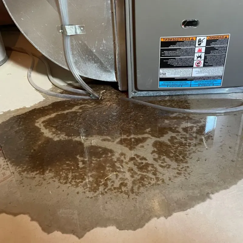 Pipe Burst and Leak Restoration in Bellows Falls, VT