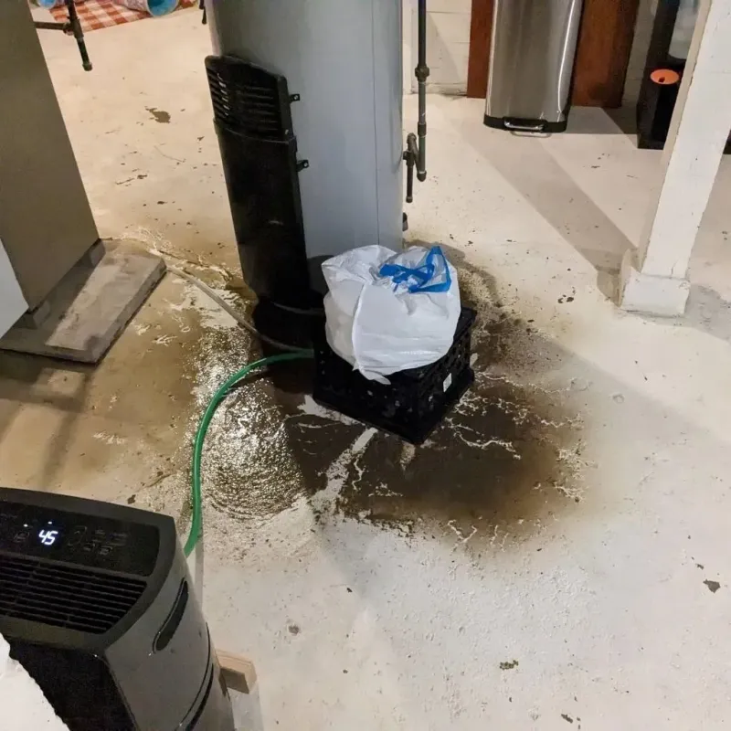 Sewage Backup Cleanup Service in Bellows Falls, VT